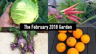 In today's video we look at the california garden month of february.
begin with a tour our southern irvine, zone 10. loo...