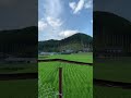 伊万里市夕方のチャイム