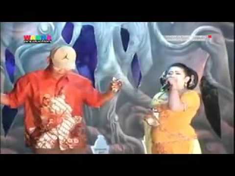 Ayam Bibit - Mimi Juju Aneka Tunggal
