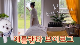 홈카페 🍹☕️토마토 마리네이드🍅강아지랑 🎹애틀랜타에사는 🇺🇸50대 집순이 일상 브이로그 🏡