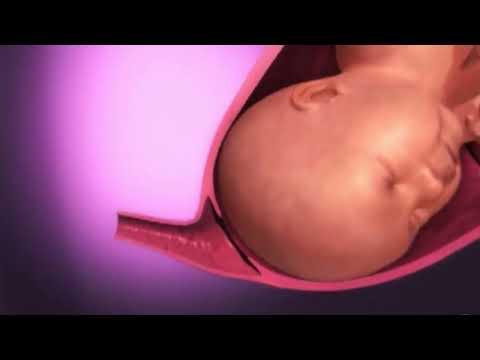 كيف تلد المراة ولادة طبيعية بالتفصيل