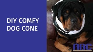 DIY Comfy Dog Cone | How to Make a Homemade Dog Cone Alternative