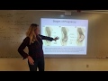 Early human development  pregnancy