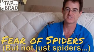 Spiders But Not Just About Spiders... - Phobia Tapping With Brad Yates