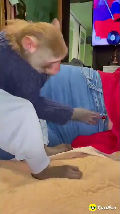 funny video cocofun🤣🤣😂