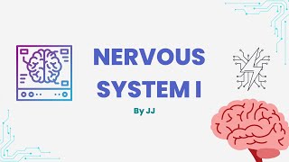 Nervous system I | EP.1 ภาพรวม , ระบบประสาทของสัตว์