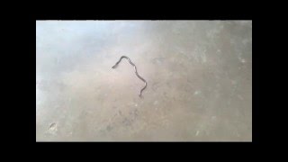 WP 20160503 001
