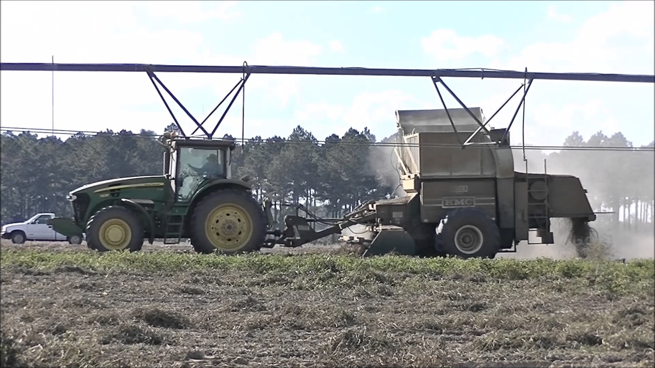 Murray Farms Rentz Family Farms Peanut Harvest 1 YouTube