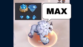 Whiteout Survival : Burning 1 Million Gems 💎 to Refine PET 🦍