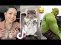 Funny TikToks That Entertained Me 😂