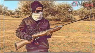 استعراض سريع أقوى ساكتون كسر من قامو AIRGUN GAMO