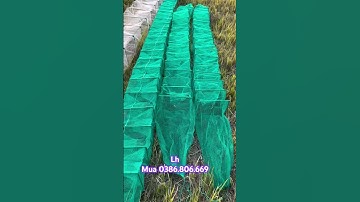 MẮT LƯỚI MẮT 2 LY BẮT TÔM TÉP GẠO NHỎ KHUNG THÉP CHẮC CHẮN SIÊU BỀN