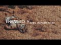 Eneatipo 9 - No quieres molestar, crees que no eres importante