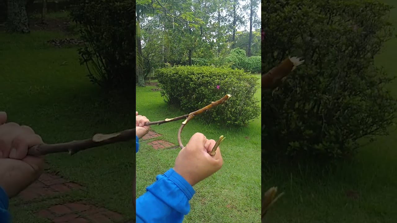 localizando água no subsolo com a técnica da forquilha de goiabeira