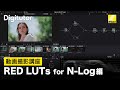 動画撮影 #7 - RED LUTs for N-Log編｜ニコン公式 Digitutor