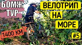 Жажда Свободы