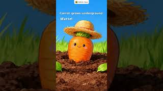 🥕 Belajar Bahasa Inggris Tentang Carrot | Describe It Series #05