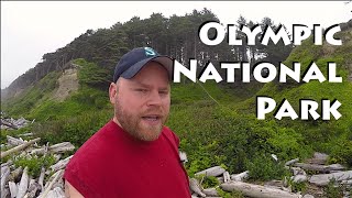 Olympic National Park, Big Trees & Ruby Beach