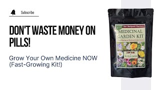 Grow Your Own Medicine! DIY Medicinal Garden Kit at Home (Fast-Growing Plants!)