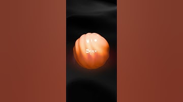 Blender 3D Music & Motion #b3d #blender #eevee #agx