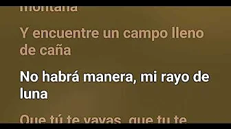 Hasta La Raíz- Natalia Lafourcade Letra/Lyrics Hasta La Raíz- Natalia Lafourcade Letra/Lyrics