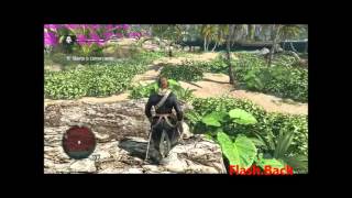 (Teste) Assassins Creed IV Black Flag - 9500GT + Core2Duo E7500