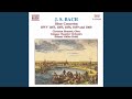 Miniature de la vidéo de la chanson Concerto In A Major, Bwv 1055: Iii. Allegro Ma Non Tanto