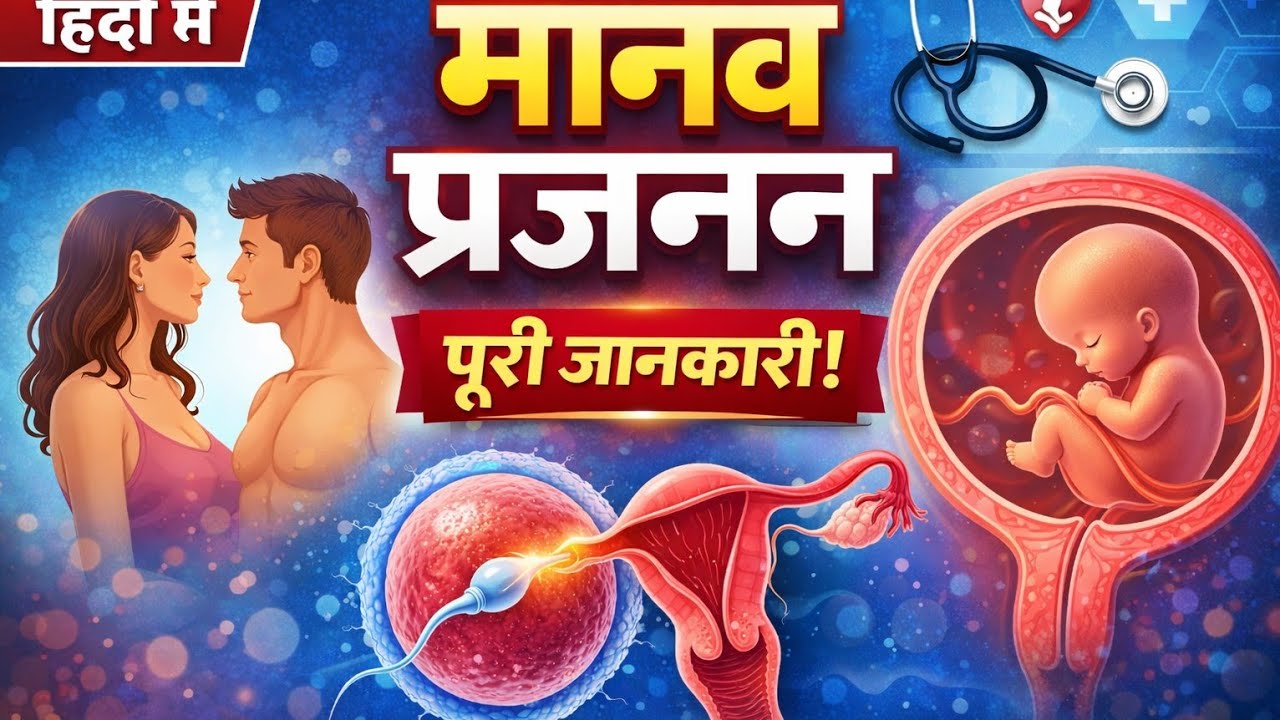 मानव प्रजनन कैसे होता है? | Human Reproduction Hindi