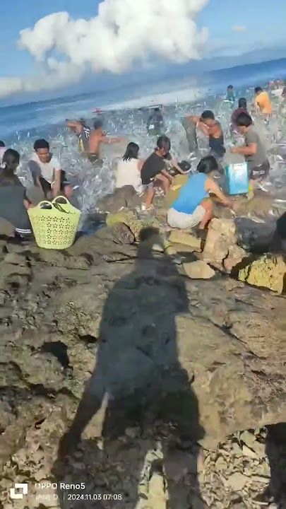 NAGDAGSAAN ANG MGA MALILIIT NA ISDA SS BAYBAYIN