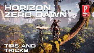 Horizon Zero Dawn Tips and Tricks
