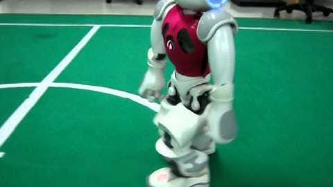 NAO Human-like Stable Walking with 42cm/s