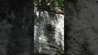 Frankenjura, Rolandfels, Nullkommanix 910- 8A - Climbing