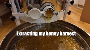 Extracting my honey start to finish 