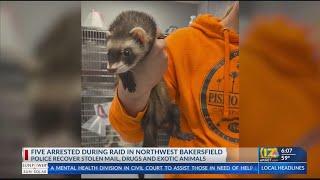 5 arrested, accused of stealing mail, possessing exotic animals and drugs