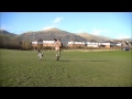 Gundog training the 3 Card trick on grass with a GSP Gundog training the 3 Card trick on grass with a GSP