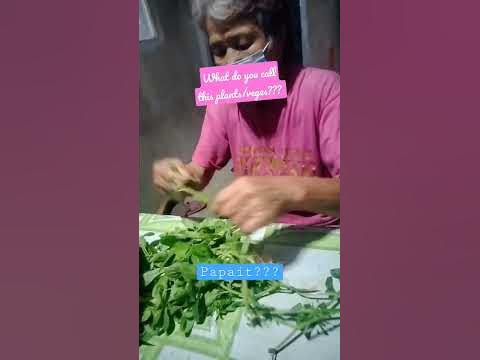 Other term for this vegies/plants??? it's so bitter like me😆😆😆 #shorts