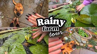 tingle immunity cure w/ rainy day lofi asmr