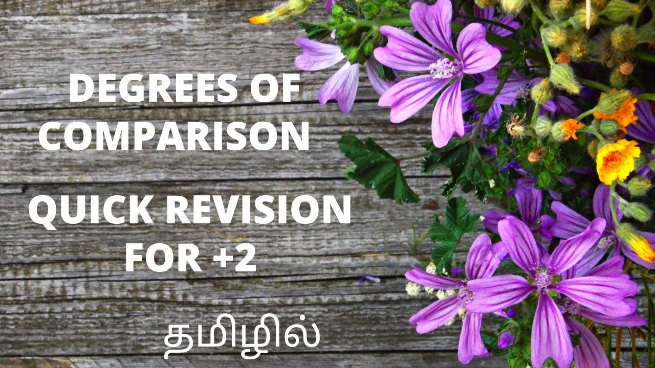 DEGREES OF COMPARISON/ QUICK REVISION FOR+2 - YouTube