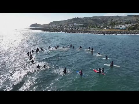 3 Surfers Shot to Death While on Trip to Mexico: Reports