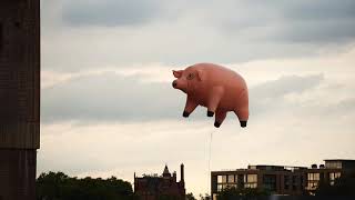 Eclipse-2020Remix-Cover Song screenshot 5