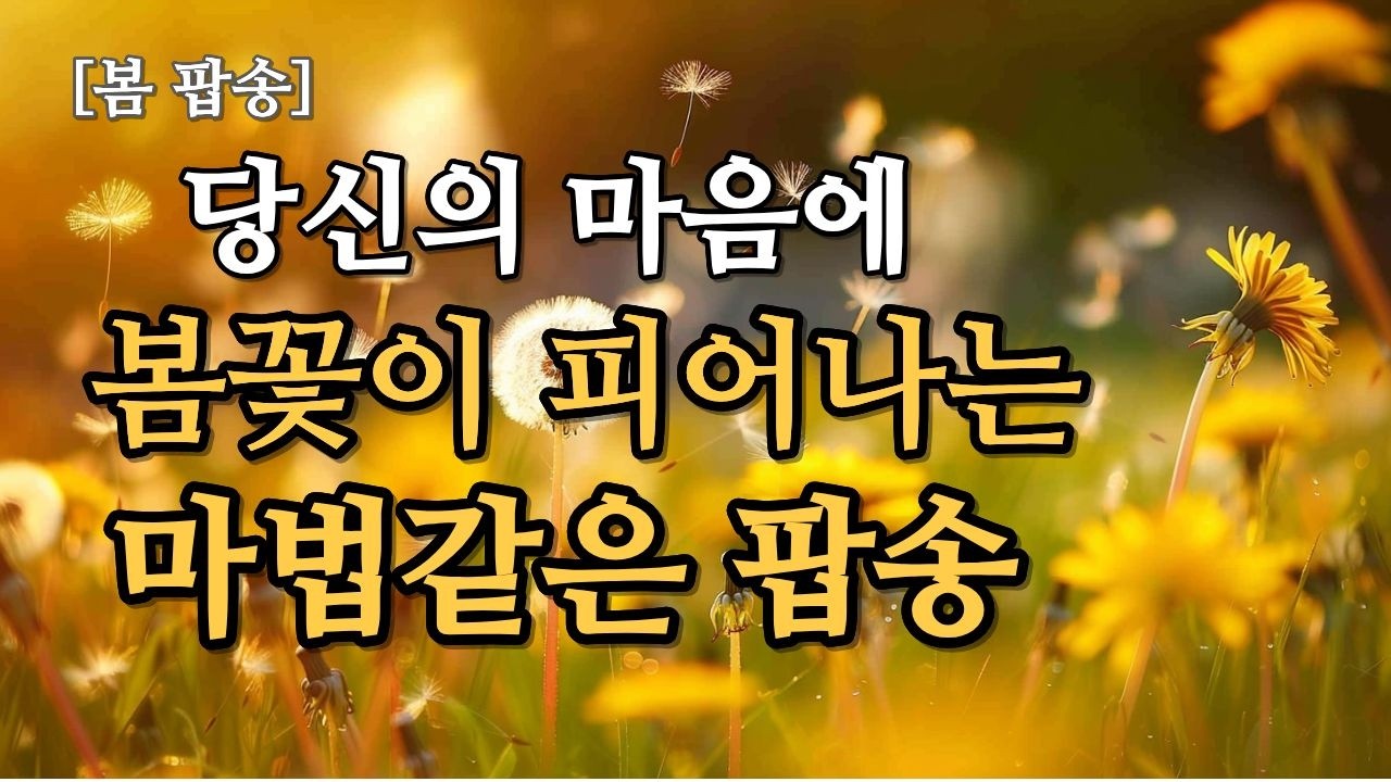 ✨🎧꽃샘추위 녹여줄 포근한 음악| 봄바람 같은 추억의 올드팝 #올드팝 #7080팝송 #추억의팝송 #windreth #봄에듣기좋은노래 #꽃샘추위 #힐링음악 #플레이리스트 #카페음악