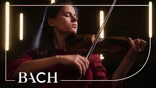 Bach - Loure from Violin partita in E major BWV 1006 - Van Leeuwen | Netherlands Bach Society chords