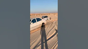 الفيرنا يا كبدي 