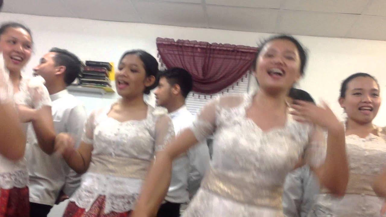 Burung Kakak Tua Medley 