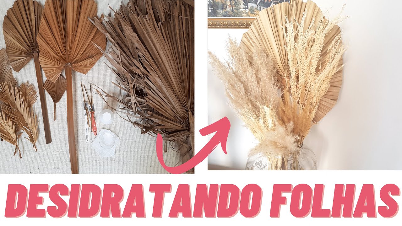 COMO DESIDRATAR FOLHAS DE PALMEIRAS? PRODUTOS BARATOS + REVELANDO TODOS OS SEGREDOS FAÇA VOCÊ MESMO!