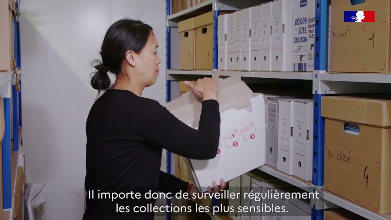 La conservation des collections patrimoniales – Les insectes – épisode 1/2