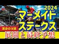 🎯 マーメイドステークス2024 | 展開と最終予想