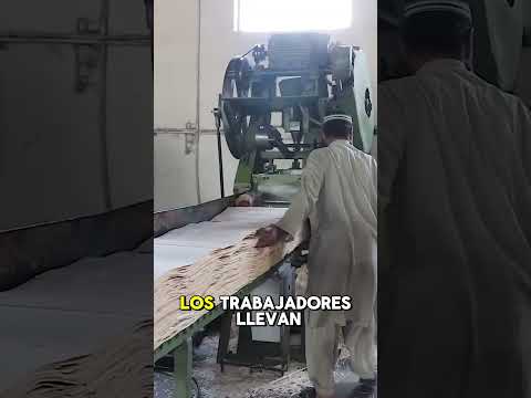 Aprende cómo se