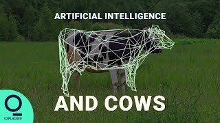 How Dairy Farmers Are Using AI screenshot 4