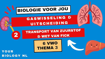 6 vwo | Gaswisseling & Uitscheiding | 2 | Gaswisseling II: Transport van zuurstof & wet van Fick